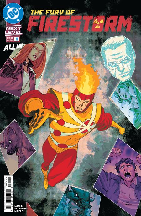 FURY OF FIRESTORM #1 (OF 6)