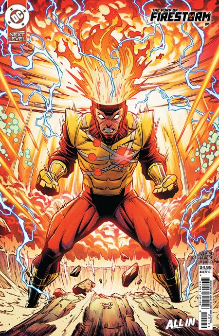 FURY OF FIRESTORM #1 (OF 6) (Second Printing)